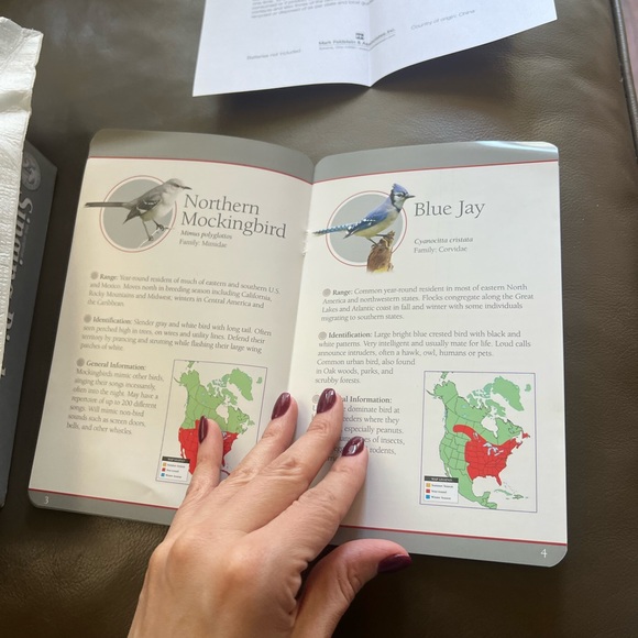 Singing Bird 🦜Clock - 25th Anniversary Edition✨ - Picture 14 of 17